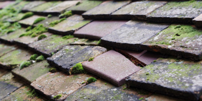 Skenfrith roof repair costs